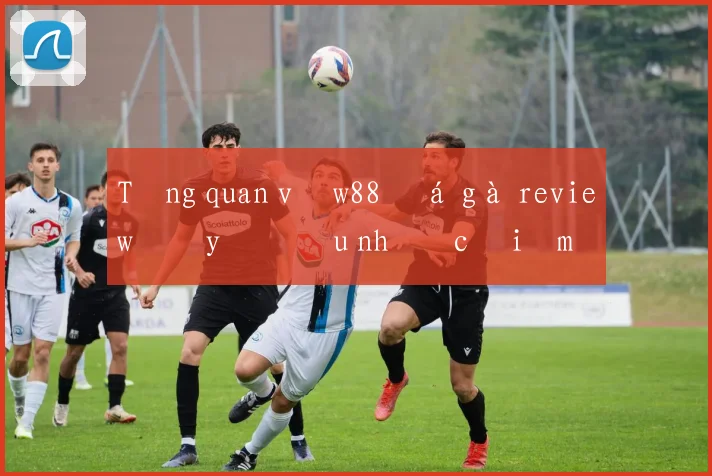 Tổng quan về w88 đá gà review đầy đủ ưu nhược điểm